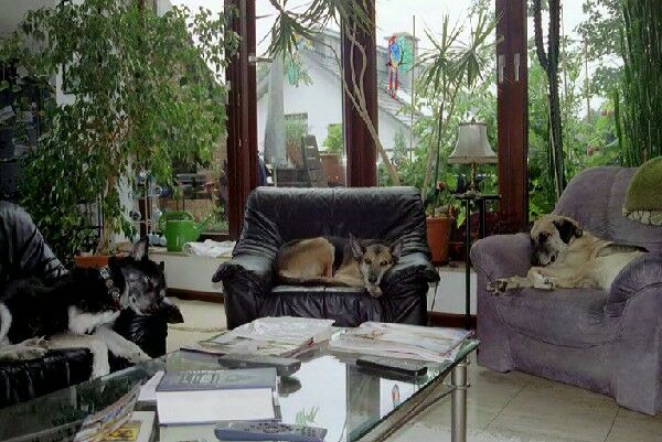 Home sweet home