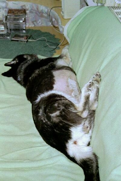 rest after the operation