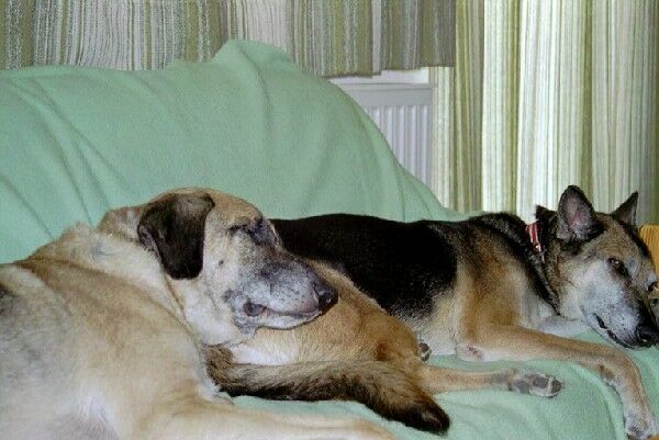 Nothing but a soft pillow