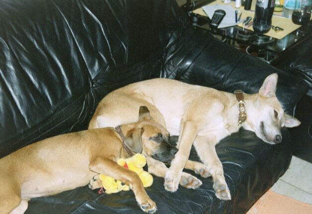 after_play.jpg