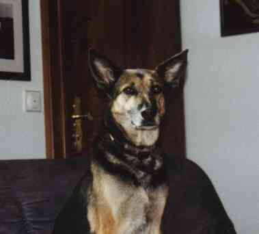 Daisy with 11 years.