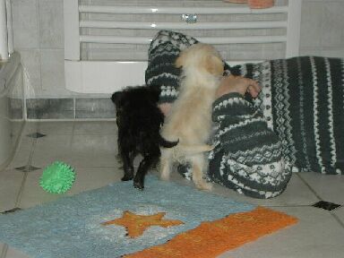 Migi und Noce
