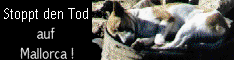 Click here to get to dogs on Mallorca