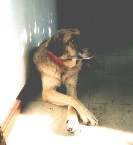 luci_treppe2.jpg