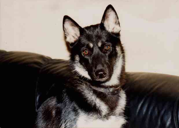Tiffany with about 1 year