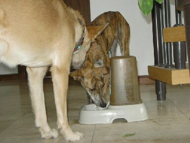 wasserstelle-cheyenne_klein.jpg